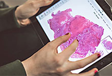 A close up shows someone&rsquo;s hands navigating a screen on a portable device.