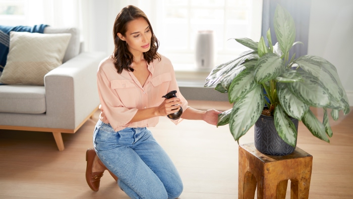 Зачем нужен увлажнитель воздуха?